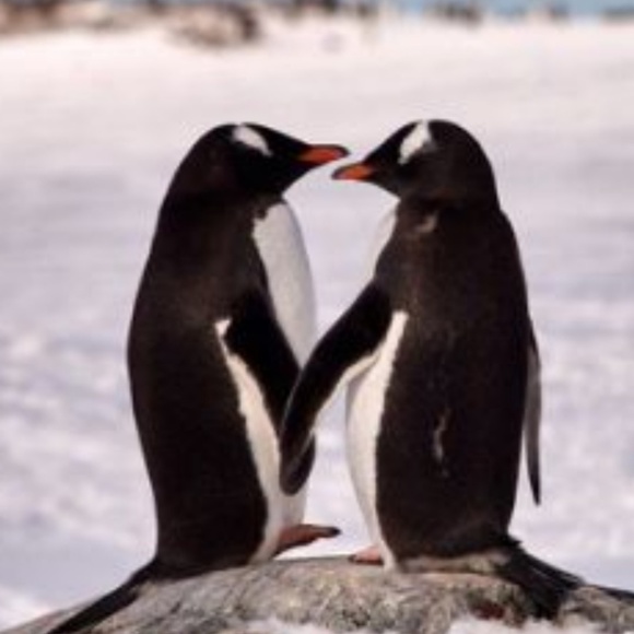 Meet your Posher, Deborah - Picture 1 of 1